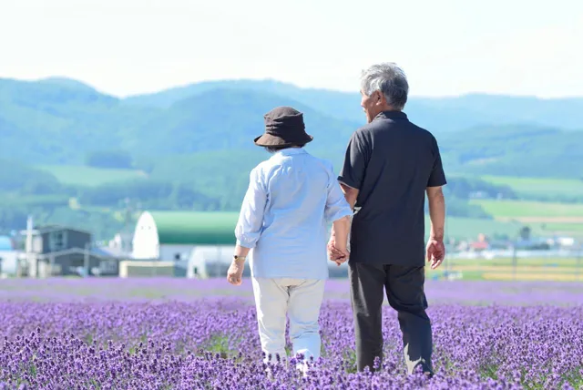 富良野のラベンダー畑を観光する夫婦