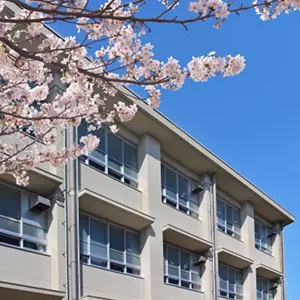 空港へお迎え