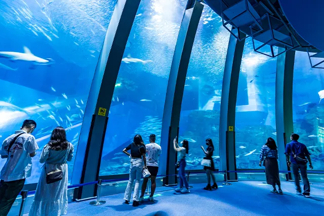 水族館