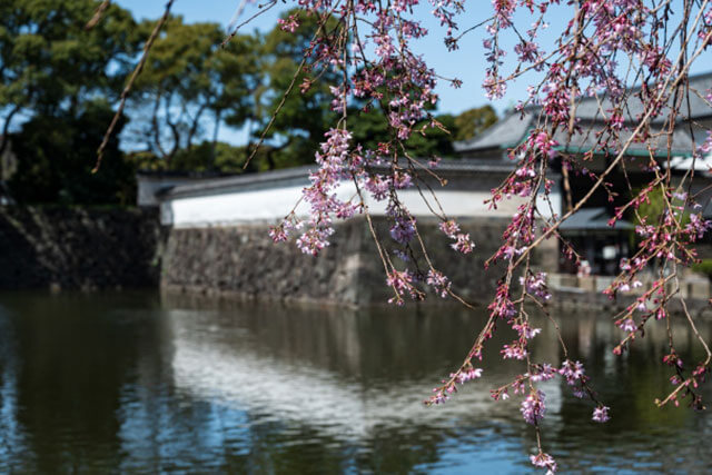 皇居